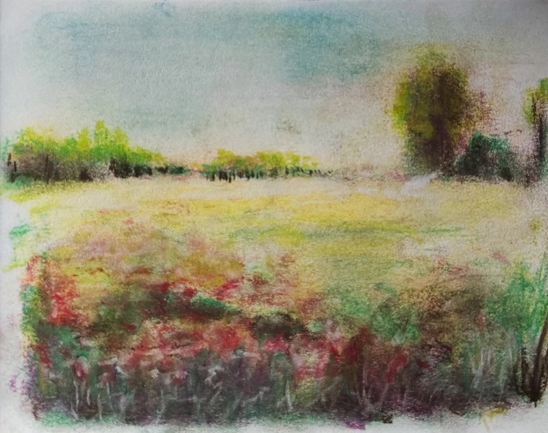Sketch