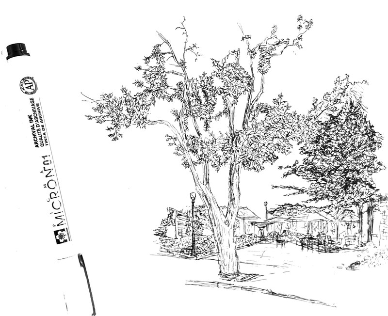 Sketch