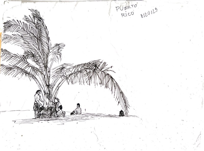 Sketch